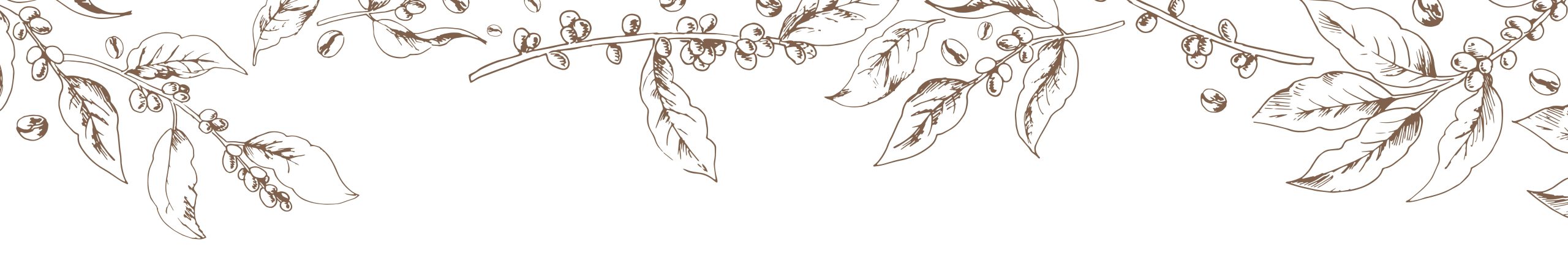 Coffee Background BLC